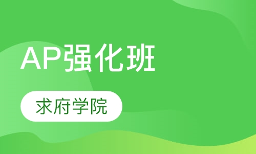 AP强化班
