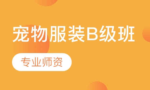 宠物服装B级班