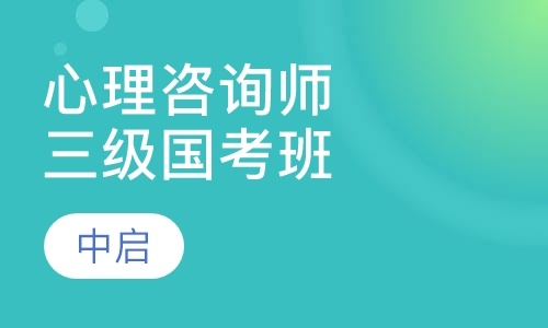 心理咨询师三级国考委专家班