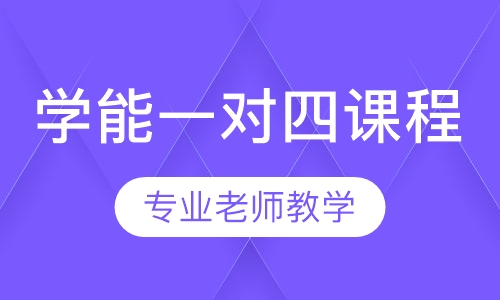 学能一对四课程