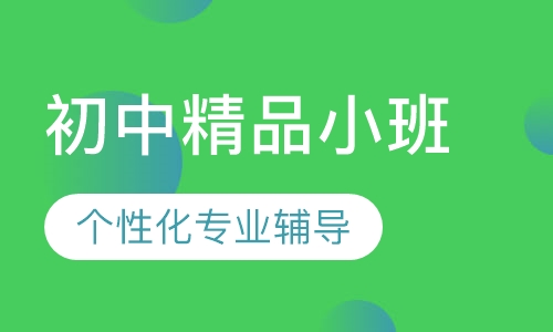 初中精品小班