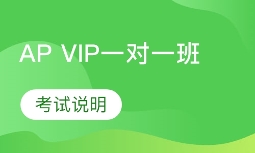 AP VIP一对一班