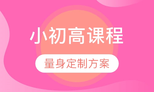 1对1小初高小长假提分课程
