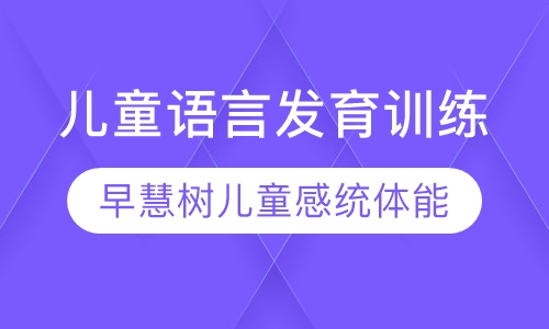 儿童语言发育训练