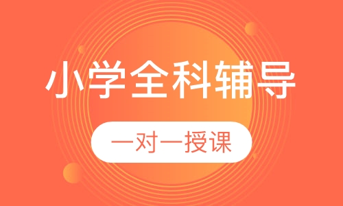 小学一对一全科辅导