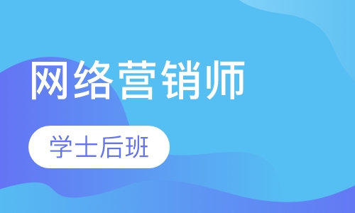 学士后网络营销师