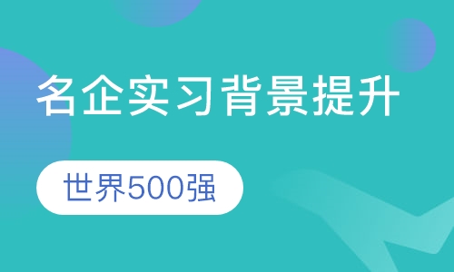 世界500强名企实习背景提升