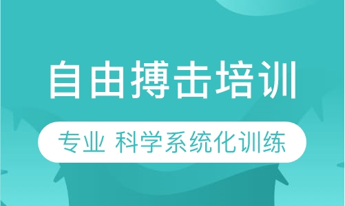 自由搏击培训