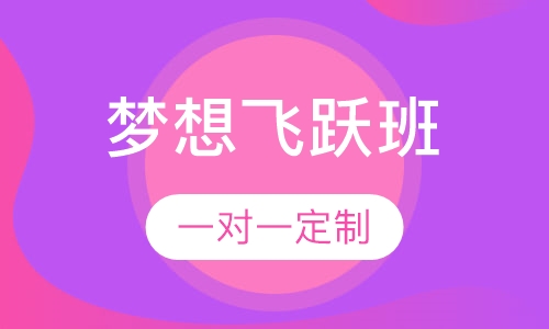 法硕梦想飞跃