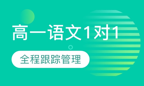 高一语文1对1辅导