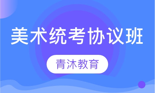 美术统考协议班