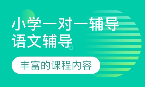 小学一对一辅导语文辅导