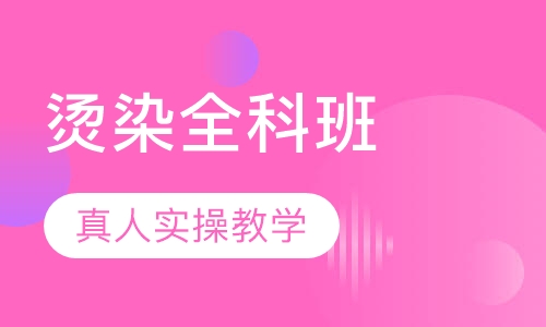 烫染全科班