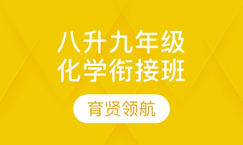 八升九年级化学衔接班