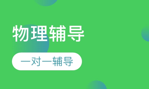 初中一对一物理辅导