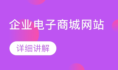 企业电子商城网站