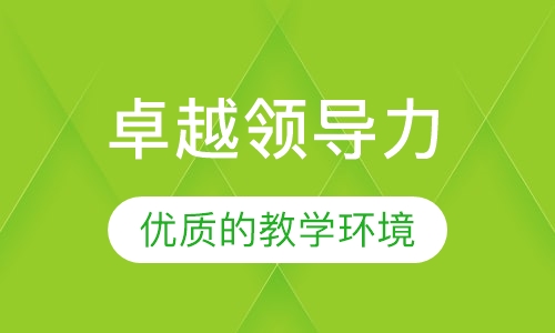 卓越领导力