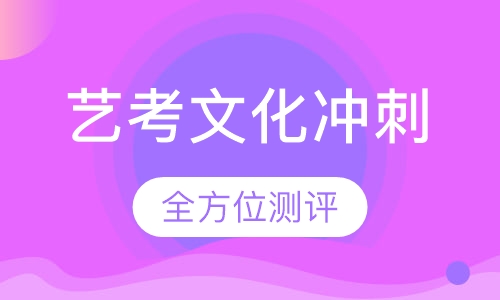艺考文化冲刺班