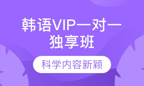 韩语VIP一对一独享班