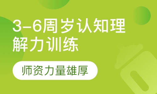 3-6周岁认知理解力训练课程
