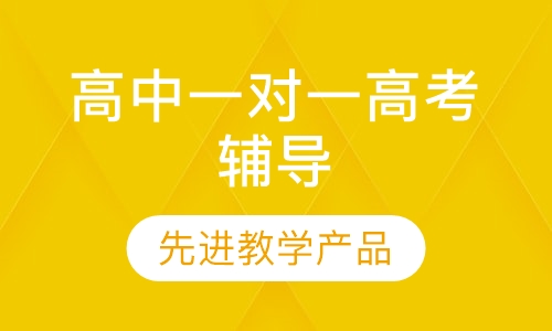 高中一对一高考辅导
