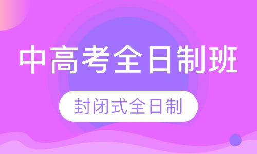 高考全日制班