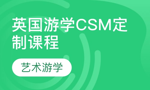 艺术游学英国游学CSM圣马丁黄金作品集