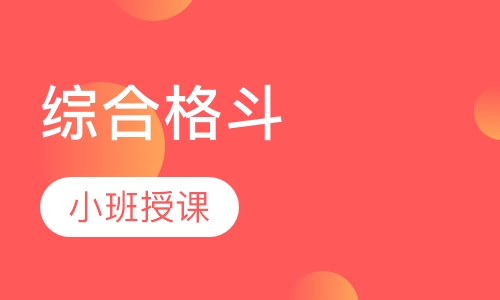 综合格斗