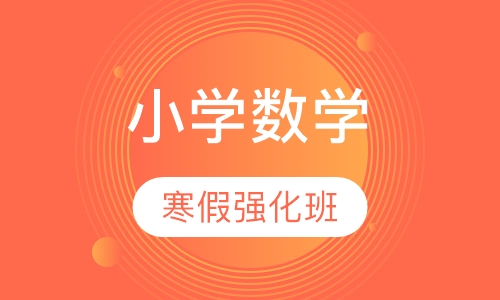 数学寒假强化班