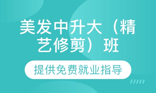 美发中升大（精艺修剪）班