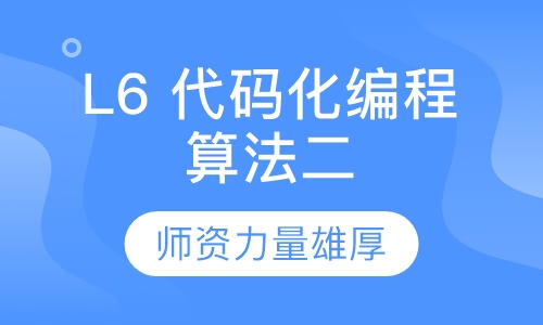 L6 代码化编程算法二