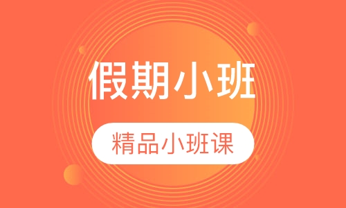 初中化学假期小班