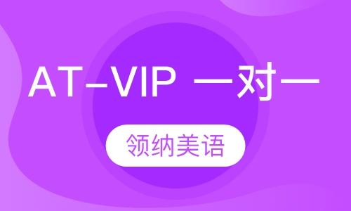 AT-VIP 一对一