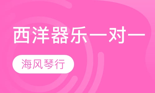 西洋器乐一对一