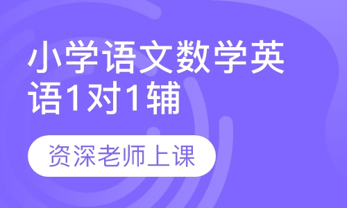 小学课程1对1辅导