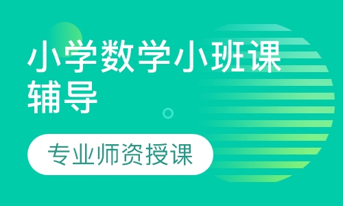 小学数学小班课辅导