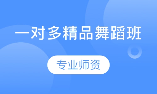 一对多精品舞蹈班