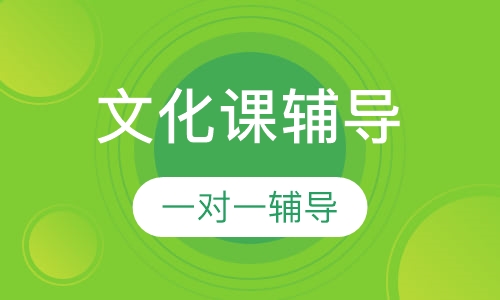 艺考文化课一对一辅导