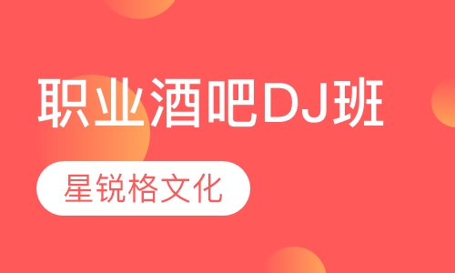 职业酒吧DJ班