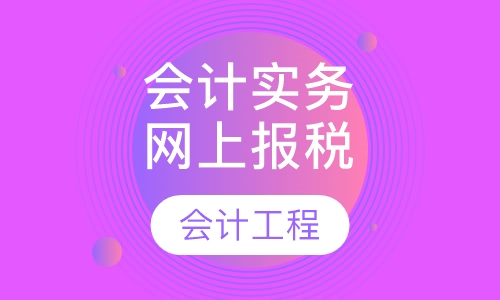 会计实务网上报税