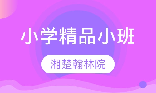 小学辅导精品小班