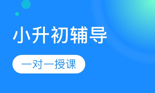 小升初一对一辅导