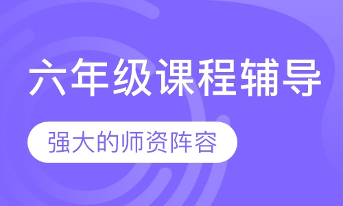 六年级课程辅导