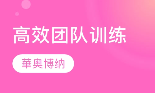 华奥博纳高效团队训练