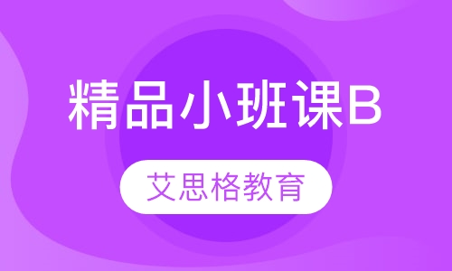 精品小班课B