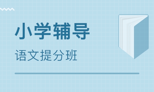 小学语文提分班