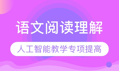 语文阅读理解专项提高课