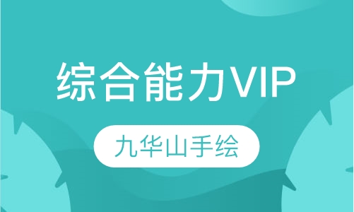 综合能力VIP班