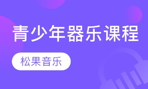 青少年器乐课程