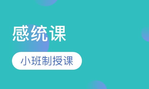蒙台梭利感统课